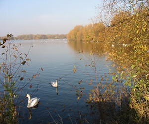 kingsbury-water-park